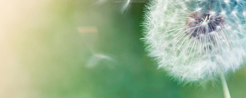 Verwundbar & lebendig sein