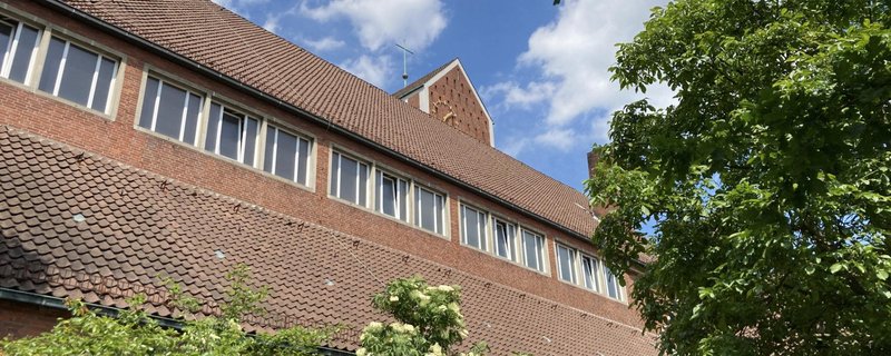 Baum hoch – Baum runter