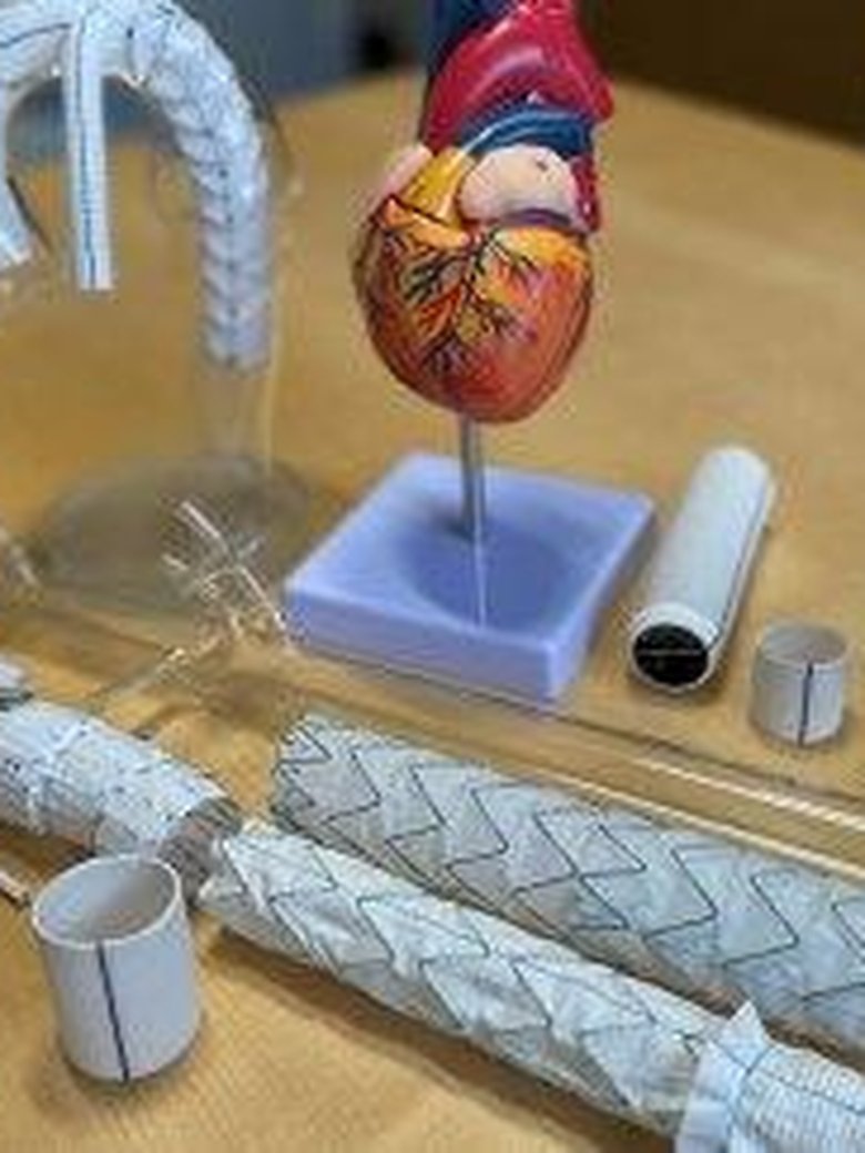 3. Oldenburger Patiententag - Aortenchirurgie