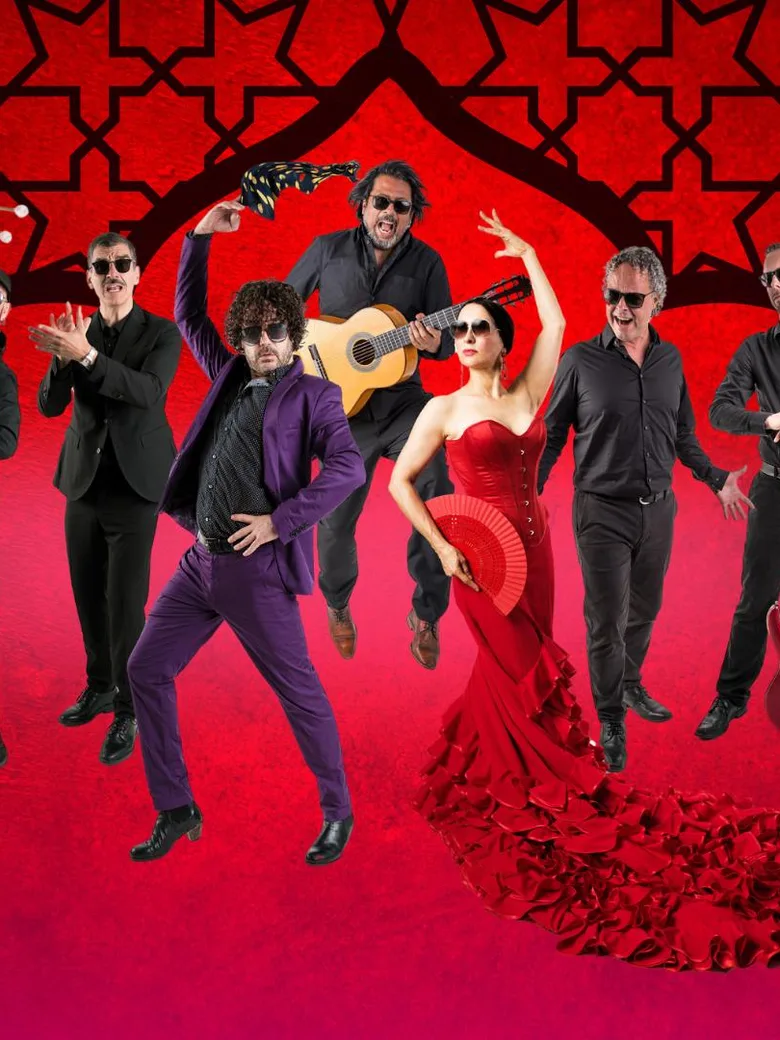 Flamenco - Rosas Negras