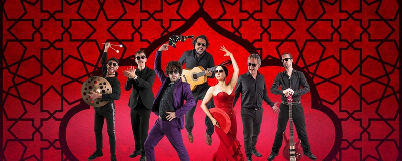 Flamenco - Rosas Negras