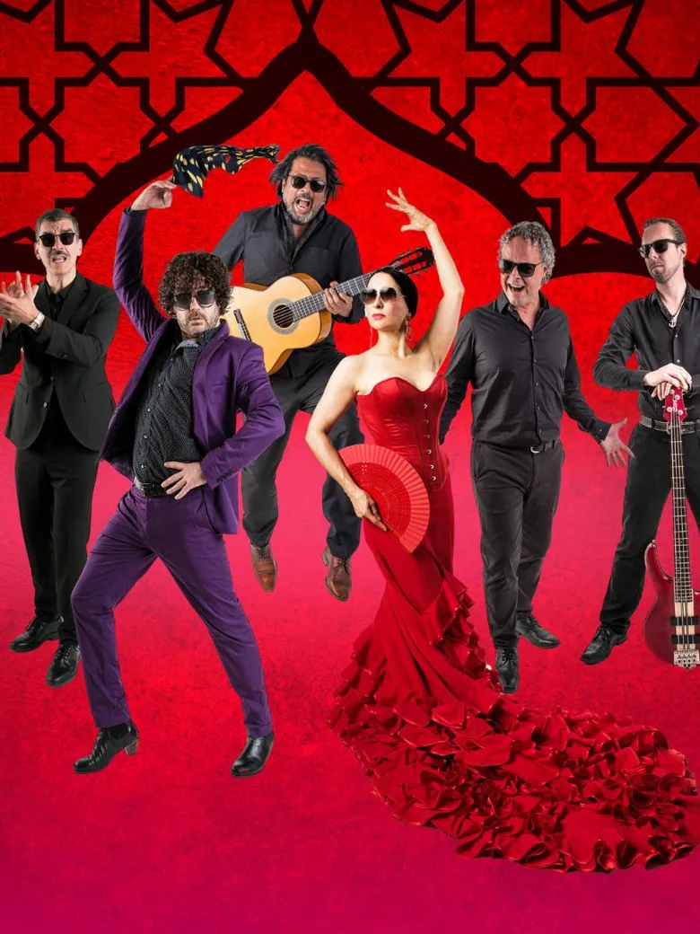 Flamenco - Rosas Negras