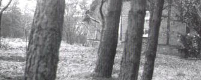 HERMINE OVERBECK-ROHTE