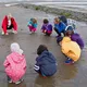 Kleine Watt-Entdecker (WET)