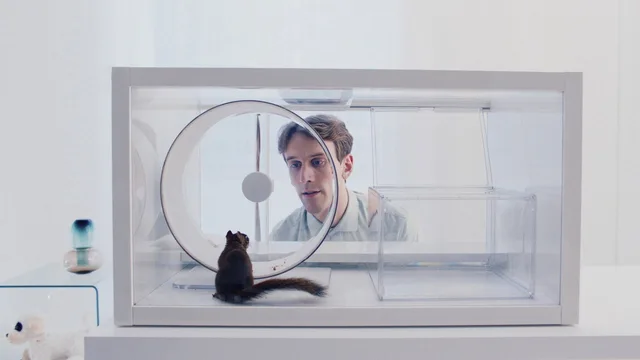 Das Eichhörnchen