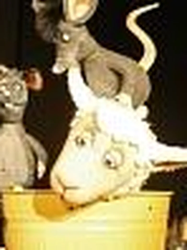 Fiete Anders vom Figurentheater Marmelock