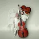 2. Sinfoniekonzert «Verwandlungen»