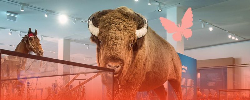 Rätsel, Geheimnisse und verborgene Hinweise: Detektivspiel im Übersee-Museum