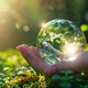 Abendspaziergang im Juli – Gärtnern in Zeiten des Klimawandels, Teil 1