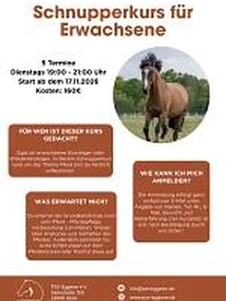Schnupperkurs Reiten für Erwachsene