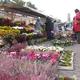 Wochenmarkt
