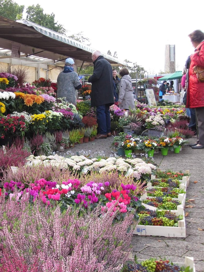 Wochenmarkt