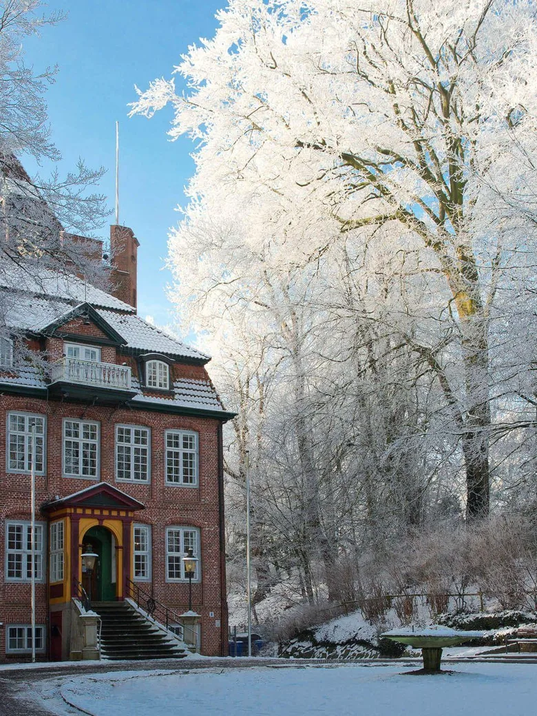 Weihnachtliches Vorlesen im Schloss