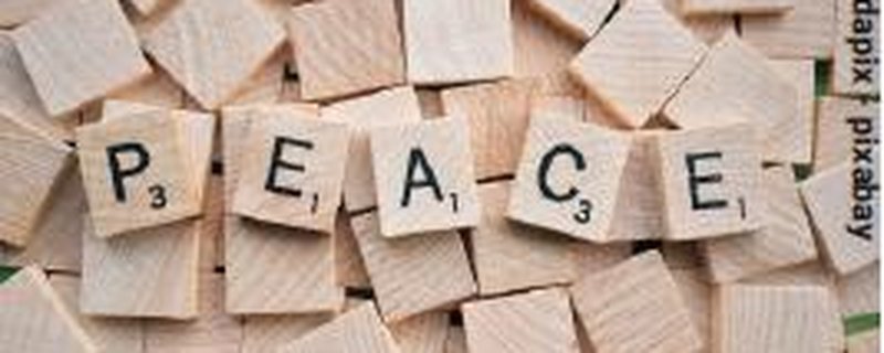 Wehrpflicht? Wehrdienst? Verweigerung? – Informieren und mitreden