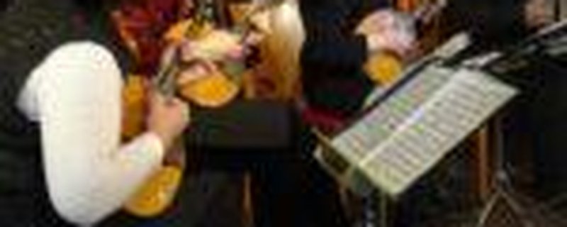 Das Bremer Mandolinenorchester