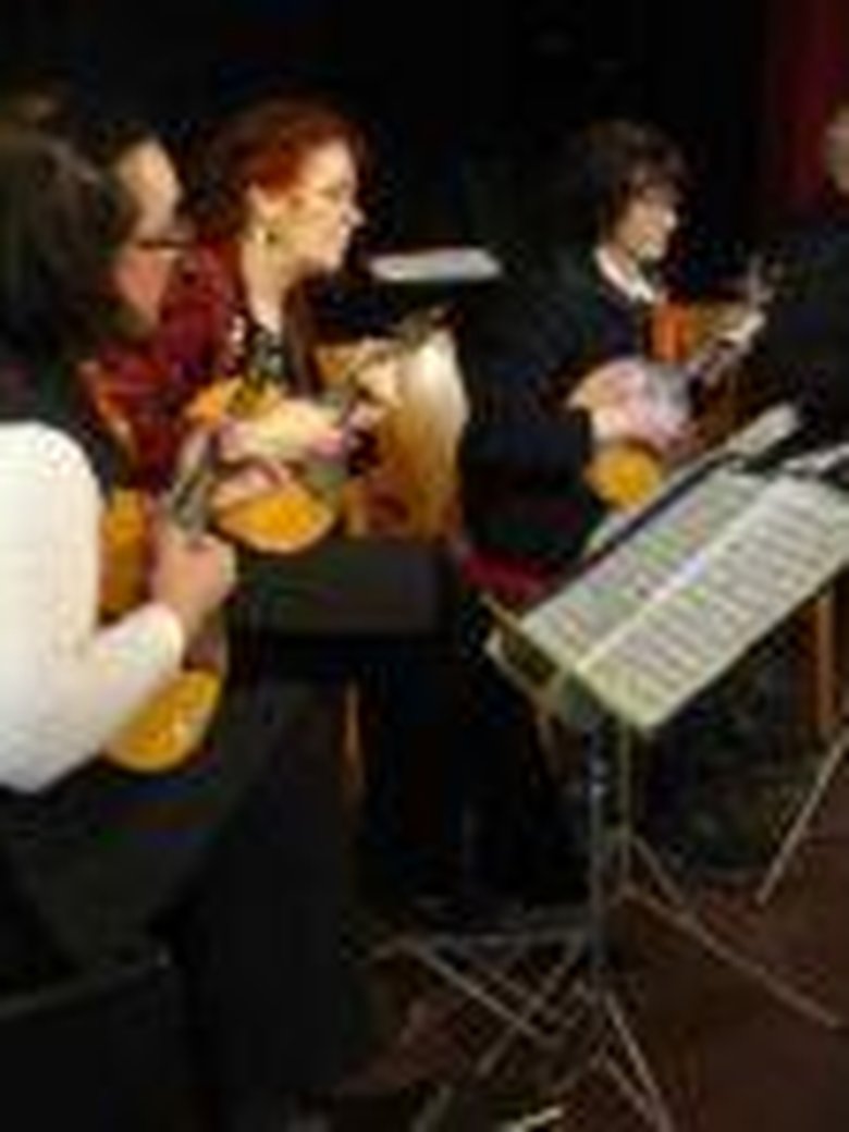 Das Bremer Mandolinenorchester