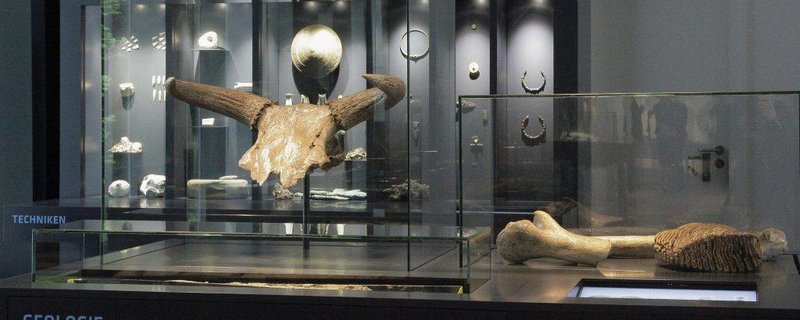 Das Leben in der Steinzeit