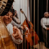 Workshop: Klassiko Orchesterinstrumente