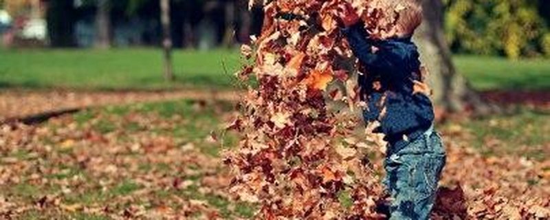 Garten im Wandel - Farben des Herbstes