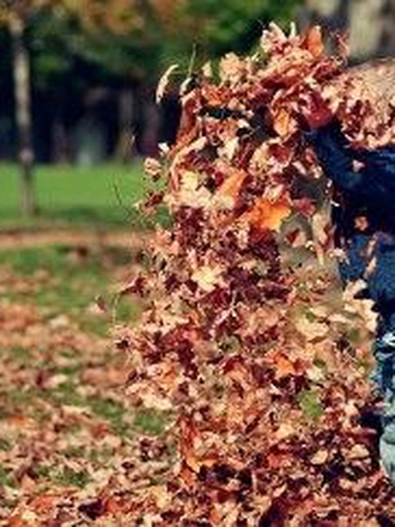 Garten im Wandel - Farben des Herbstes