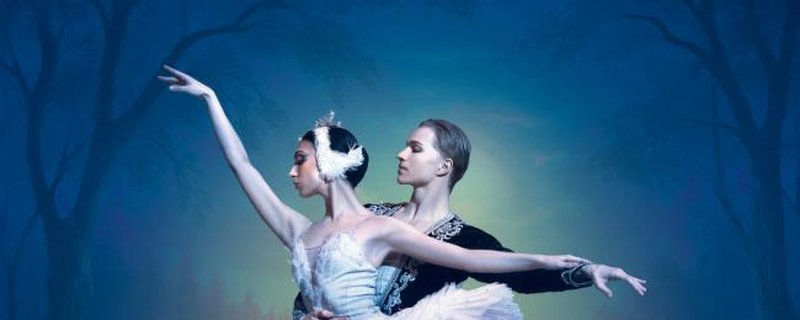 Schwanensee – International Festival Ballet & Orchester
