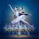 Schwanensee – International Festival Ballet & Orchester