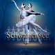 Schwanensee – International Festival Ballet & Orchester