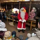 Nikolausfahrten