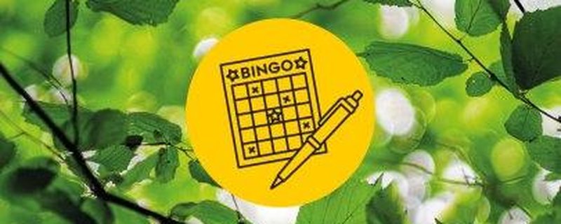 Bingo im Stadtwald