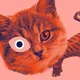 Sind bei Nacht wirklich alle Katzen grau?