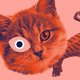 Sind bei Nacht wirklich alle Katzen grau? Taschenlampenführung in „Kult Katze!“