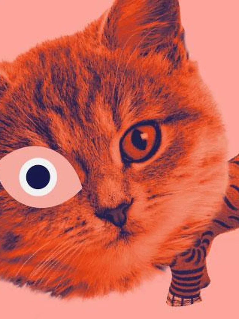 Sind bei Nacht wirklich alle Katzen grau? Taschenlampenführung in „Kult Katze!“