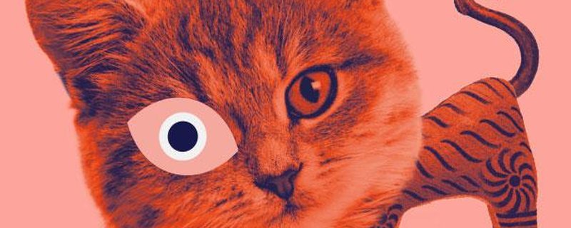 Sind bei Nacht wirklich alle Katzen grau? Taschenlampenführung in „Kult Katze!“