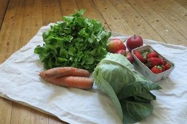 Kochen und genießen: Pflanzlich, einfach, lecker