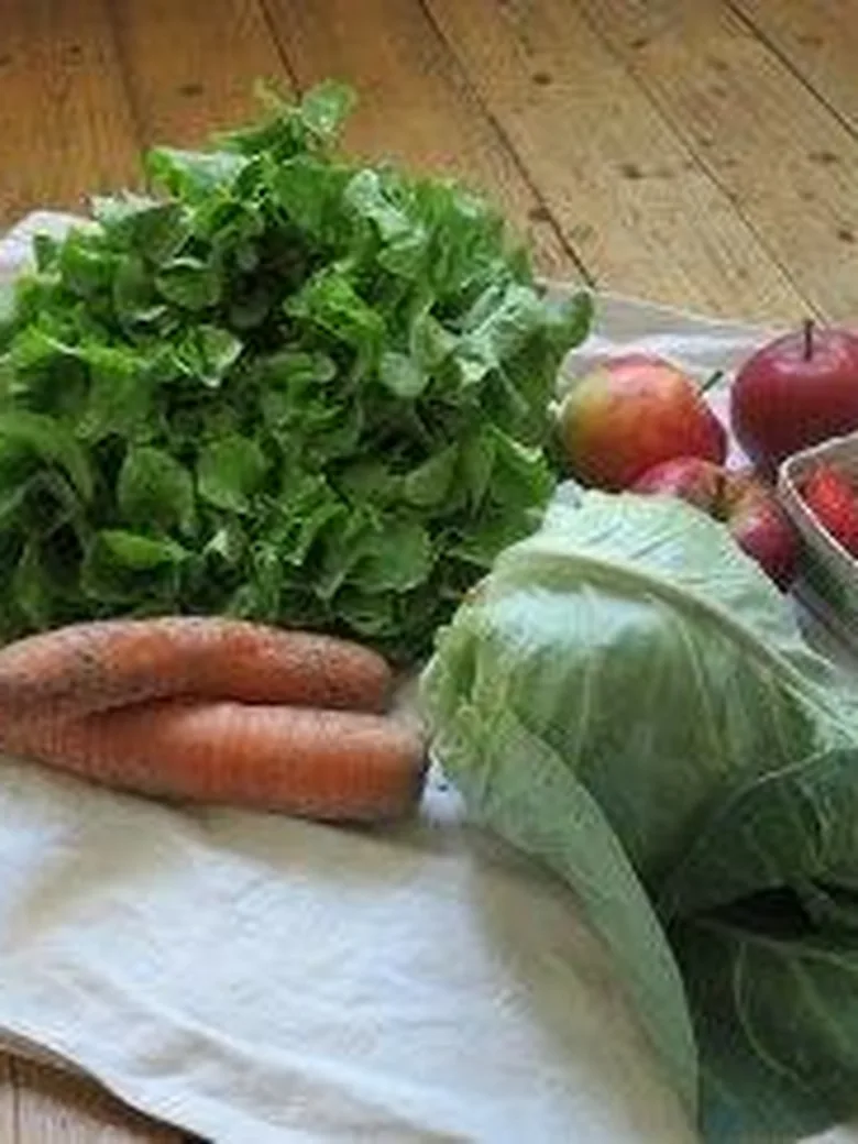 Kochen und genießen: Pflanzlich, einfach, lecker