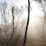 Everstener Moorspaziergänge