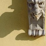 Über unseren Köpfen – zu Fuß auf der Suche nach…