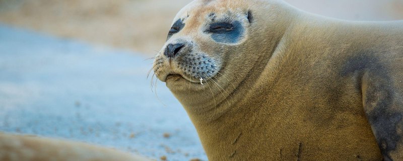 Weite und Wattenmeer