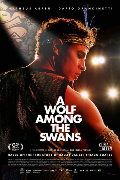 A Wolf Among the Swans