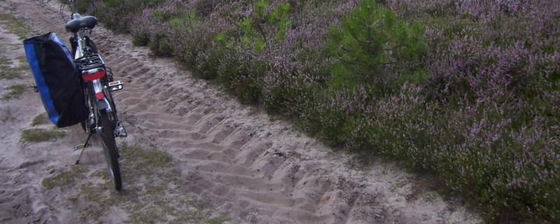 Durch Heide und Wald