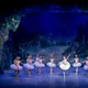 Royal Classical Ballet - Schwanensee