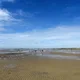 Lebendiges Wattenmeer