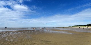 Lebendiges Wattenmeer