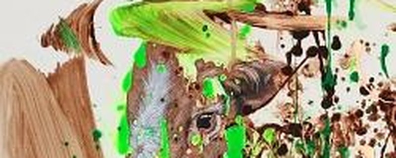 Kunstausstellung „TIERISCH ABSTRAKT“-Susanne Sokoll