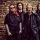 19. Ritterhuder Torfnacht - NEW MODEL ARMY und TERRY HOAX - OPEN AIR