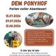Sommerspass auf dem Ponyhof