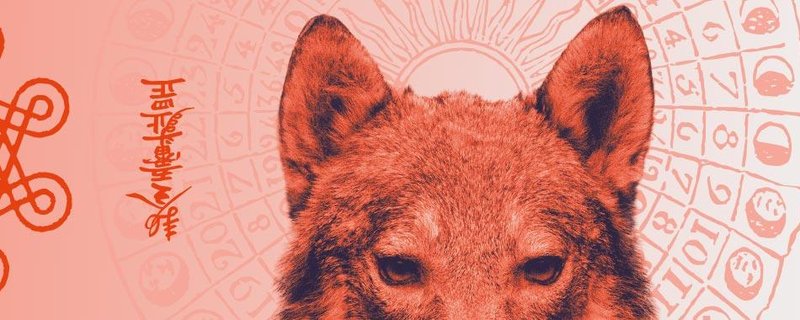 Lachen, Staunen – Zauberei! Familienzaubershow