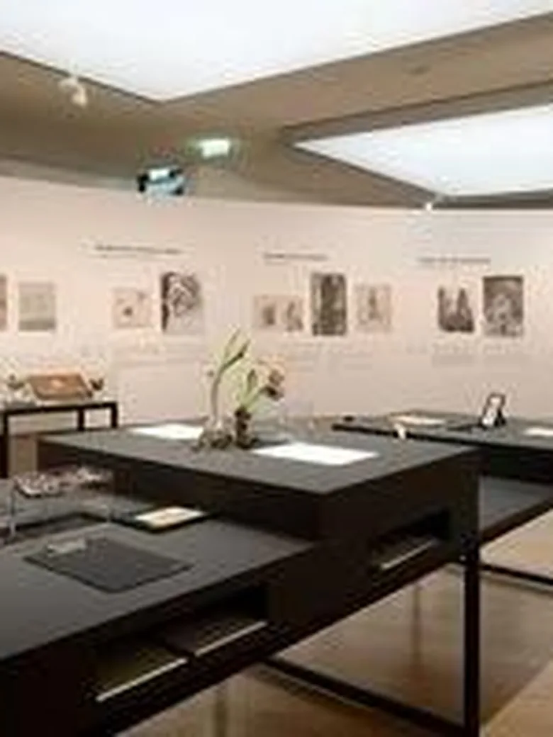 Workshop Zeichnerische Linienführung in Horst…