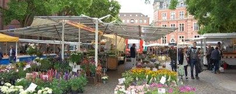 Wochenmarkt Rathausmarkt