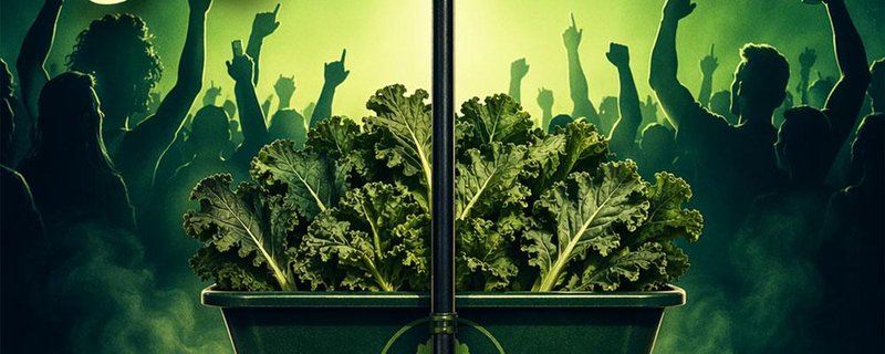 Rockin‘ Kohlfahrt 2027